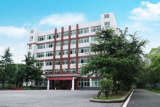 永州市海嘉中等職業(yè)技術學校視角 中國職場中具有競爭力的小語種與公路與路面工程領域